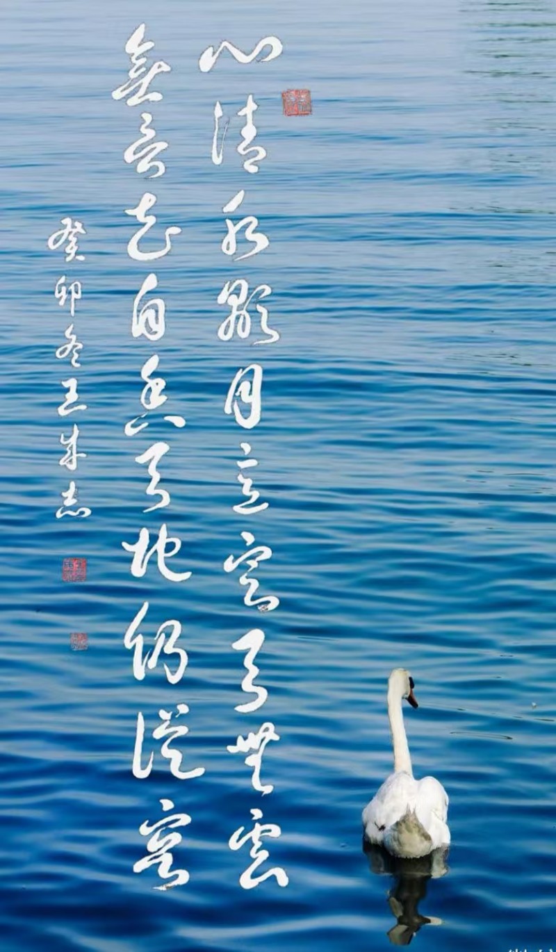 “金蛇獻(xiàn)瑞 迎新納福”著名藝術(shù)家王成志向全國(guó)人民拜年暨2025新春賀歲藝術(shù)展